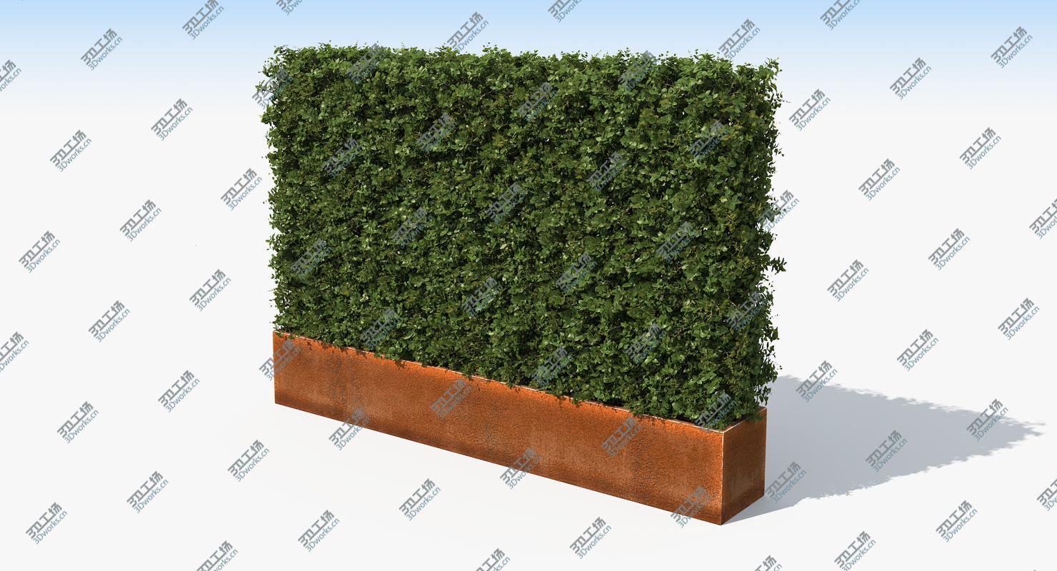 images/goods_img/202105071/Boxwood Hedge in a Planter with a Steel Rusted Patina Finish/4.jpg
